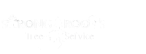 Expert Tree Removal & Trimming | Moscow, Pullman & LC Valley, Idaho & Washington